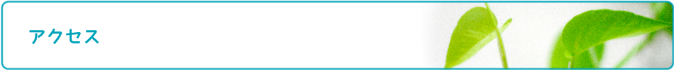 titlebar
